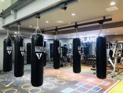 Boxing Punching Bag, Hanging Type, Sanda, Martial Arts, Muay Thai, Adult Solid Fitness Fighting Training Professional Punching Bag