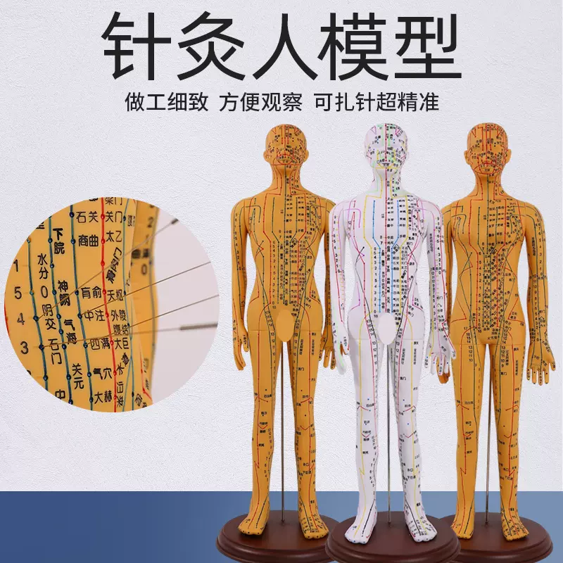 高清中医针灸穴位人体模型经络图人体穴位模型人全身小人按摩教学-Taobao