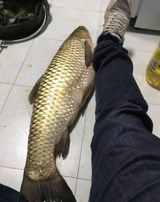 夜钓也钓不到大鱼?用上这3个技巧!23