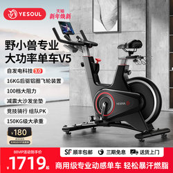 Yesoul Wild Beast Self-Powered Exercise Bike Home Bicycle Professional Weight Loss Fitness Equipment Gym V5