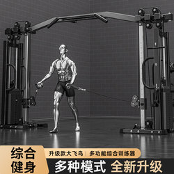 Large Flying Bird Gantry Fitness Equipment for Home Use, Multifunctional All-In-One Small Flying Bird Training Device, Single-Side Comprehensive Equipment for Pull-Ups