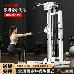 Little Flying Bird Gantry Fitness Equipment, Multifunctional All-In-One Comprehensive Trainer for Home Use, High Pull-Down and Pull-Up Exercises