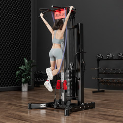 Little Flying Bird Gantry Fitness Equipment, Multifunctional All-In-One Comprehensive Trainer for Home Use, High Pull-Down and Pull-Up Exercises