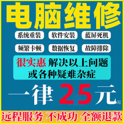 Computer Repair, Remote Troubleshooting, Blue Screen Cleaning, Laptop Lag Consultation, Windows 11 System Reinstallation, Online Service