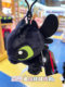 Universal Studios's souvenirs Dragon Dragon Dragon Masters No toothless Light Night Sleeping Plush Doll Doll Buckle Chain

