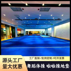 Cheerleading Roll Mat, Aerobics Mat, Art Dance Mat, Martial Arts Sanda Fighting Fighting Body Fitness Training Mat