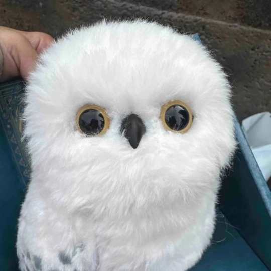 ユニバーサルスタジオオーランド ハリーポッター ヘドウィッグ 雪の