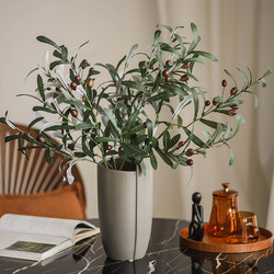 Nordic Minimalist Country-Style Side Table for Study Room with Artificial Flowers and Green Plants Decoration Sophia Olive Fruit