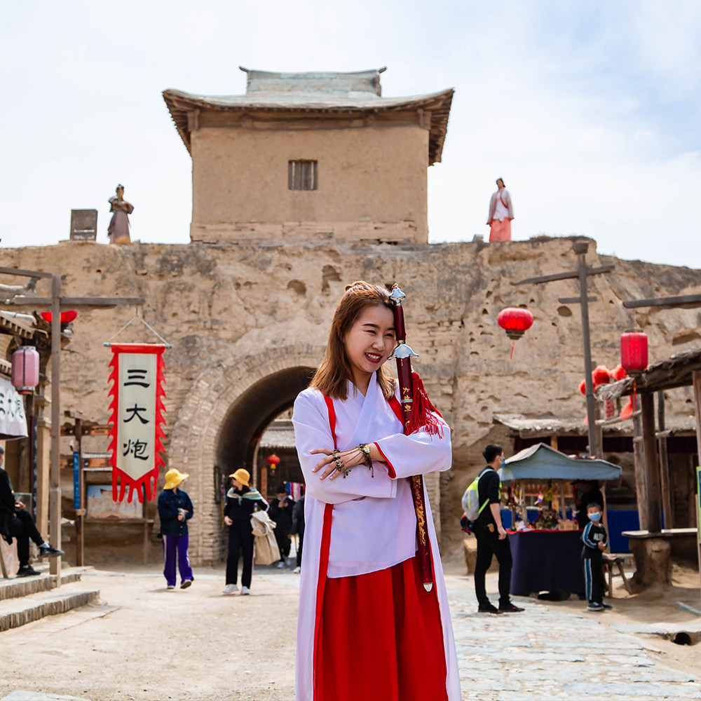 银川一日游宁夏旅游镇北堡西部影城贺兰山岩画西夏陵1-6人纯玩团