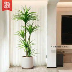 High-End Light Luxury Dragon Blood Tree Indoor Large Floor-Standing Potted Plant Artificial Green Plant Living Room Plant Decoration Fake Tree Fake Flower
