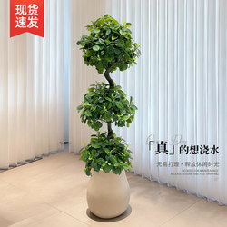 Artificial Spherical Green Plant Money Tree, High-End Luxury Decoration for Living Room and Balcony, Realistic and Sophisticated Ornament