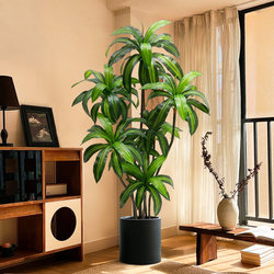 Simulated Green Plants, High-End Light Luxury Brazilian Wood Indoor Living Room Decoration Floor-Standing Ornaments, Antique-Style Fake Plant Potted Trees