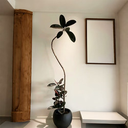 Artificial Green Plant Black Rubber Tree Indoor Living Room Large Potted Plant High-End Light Luxury Simulated Fake Tree Plant Decoration