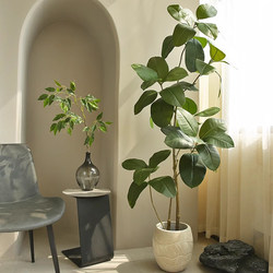 Simulated Green Plant Rubber Tree, High-End Light Luxury Living Room Decoration, Large Floor-Standing Wabi-Sabi Style Artificial Plant, Fake Green Plant