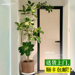 Bengali Banyan Artificial Green Plant, High-End Light Luxury Indoor Living Room Entrance Faux Tree, Large Floor-Standing Antique-Style Ornament