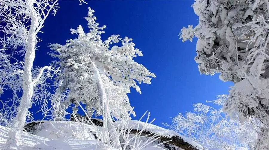 虎峰岭簸箕崴子景区