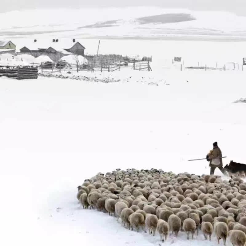 阿尔山旅游内蒙古呼伦贝尔大雪原旅游大兴安岭冰雪世界纯玩6天5晚