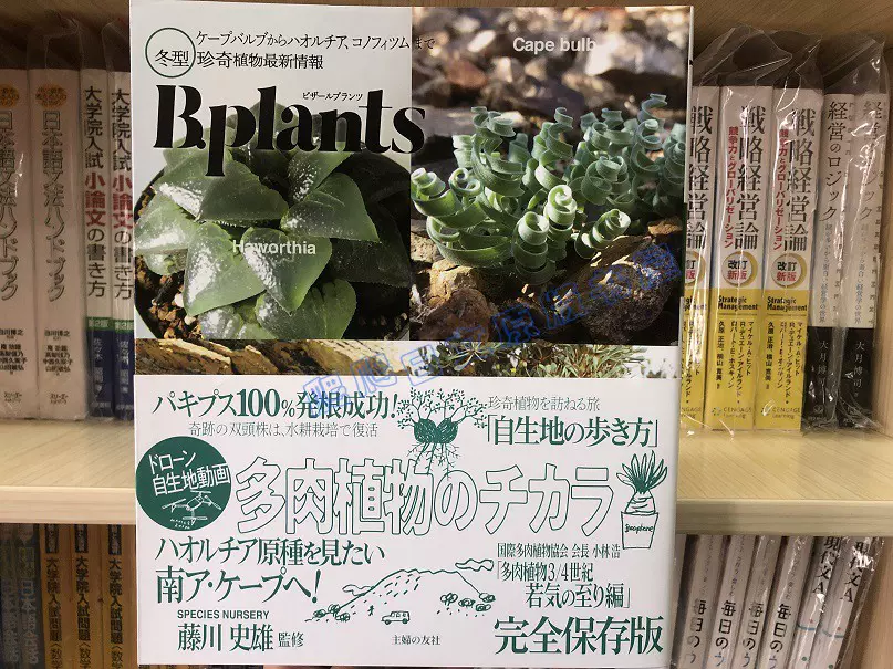 全款bplants 冬型珍奇植物新情報冬季多肉植物信息微型盆栽