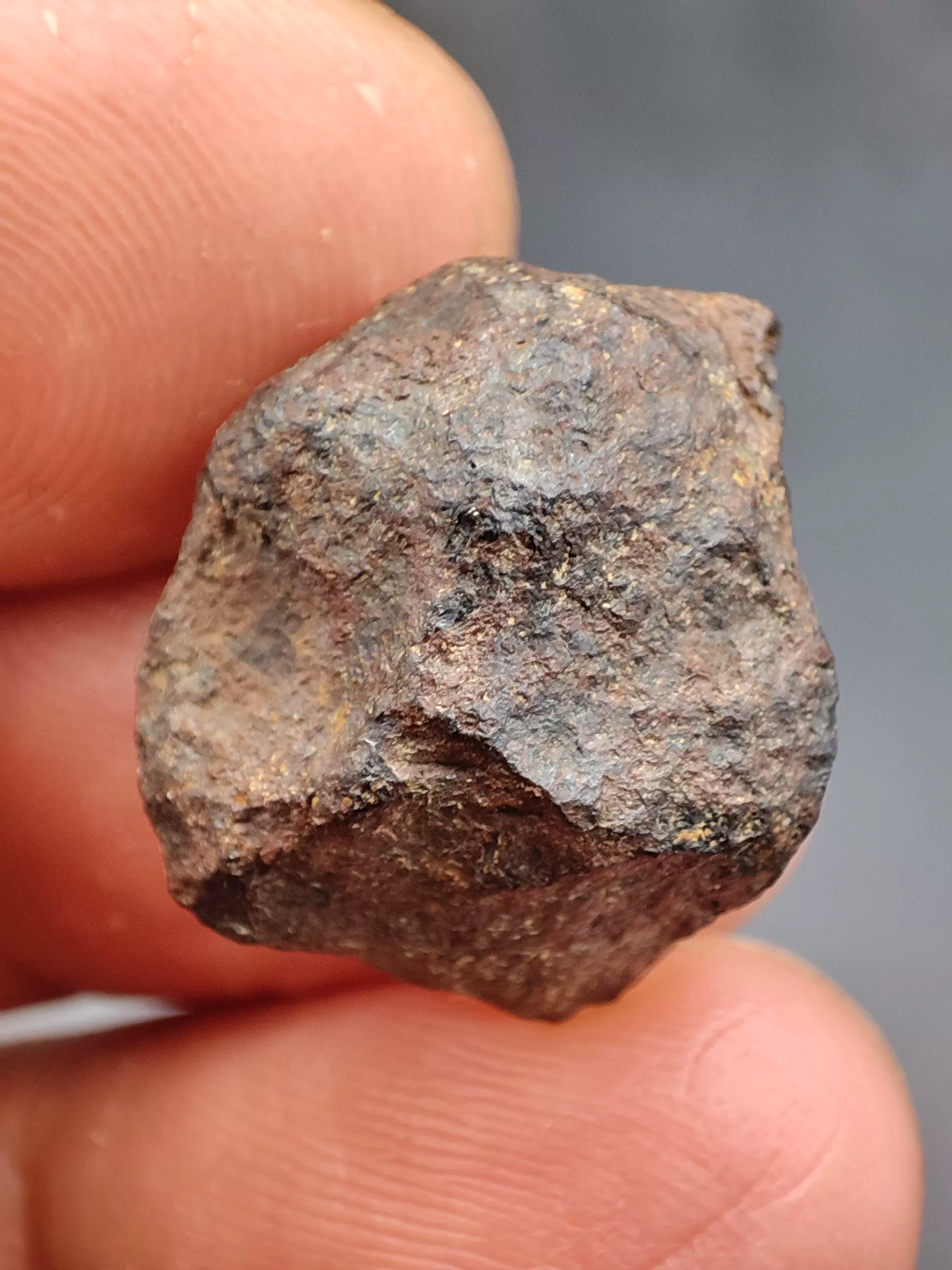 マンドラビラ 14.8g 原石 標本 鉄隕石 オクタヘドライト Mundrabilla