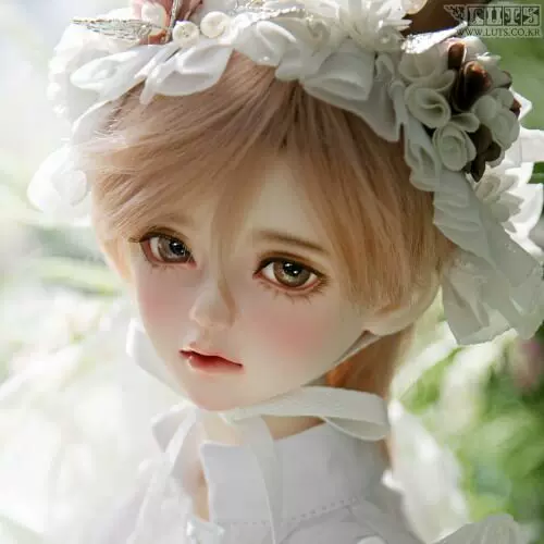 冬活特惠Senior Delf Muse KAI LUTS 免国际大果子BJD-Taobao