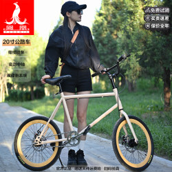 Phoenix Official Road Bike for Adults, Men and Women, Flat Handlebar, Racing, Youth, Students, 20inch Lightweight Bicycle