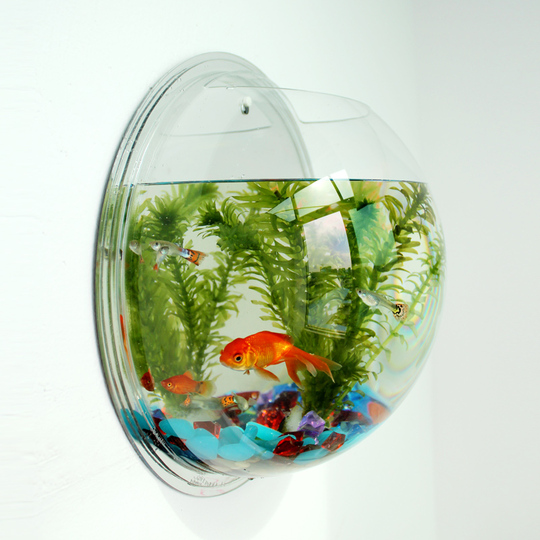 Acquario Da Parete In Vetro - Vaso Per Pesci O Piante Idroponiche, 9 Cm, Ideale Come Regalo