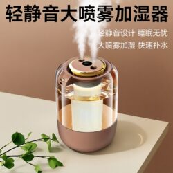 New Humidifier Air Purifier for Pregnant Women and Babies, Home Desktop Bedroom Living Room Large Mist Output Fogger