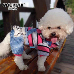 Vibrant Small and Medium Dog Pet Clothing