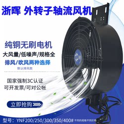 Powerful Kitchen Exhaust Fan External Rotor Axial Flow Fan 8/10/12/ 14inch Exhaust Fan for Home and Industrial Use
