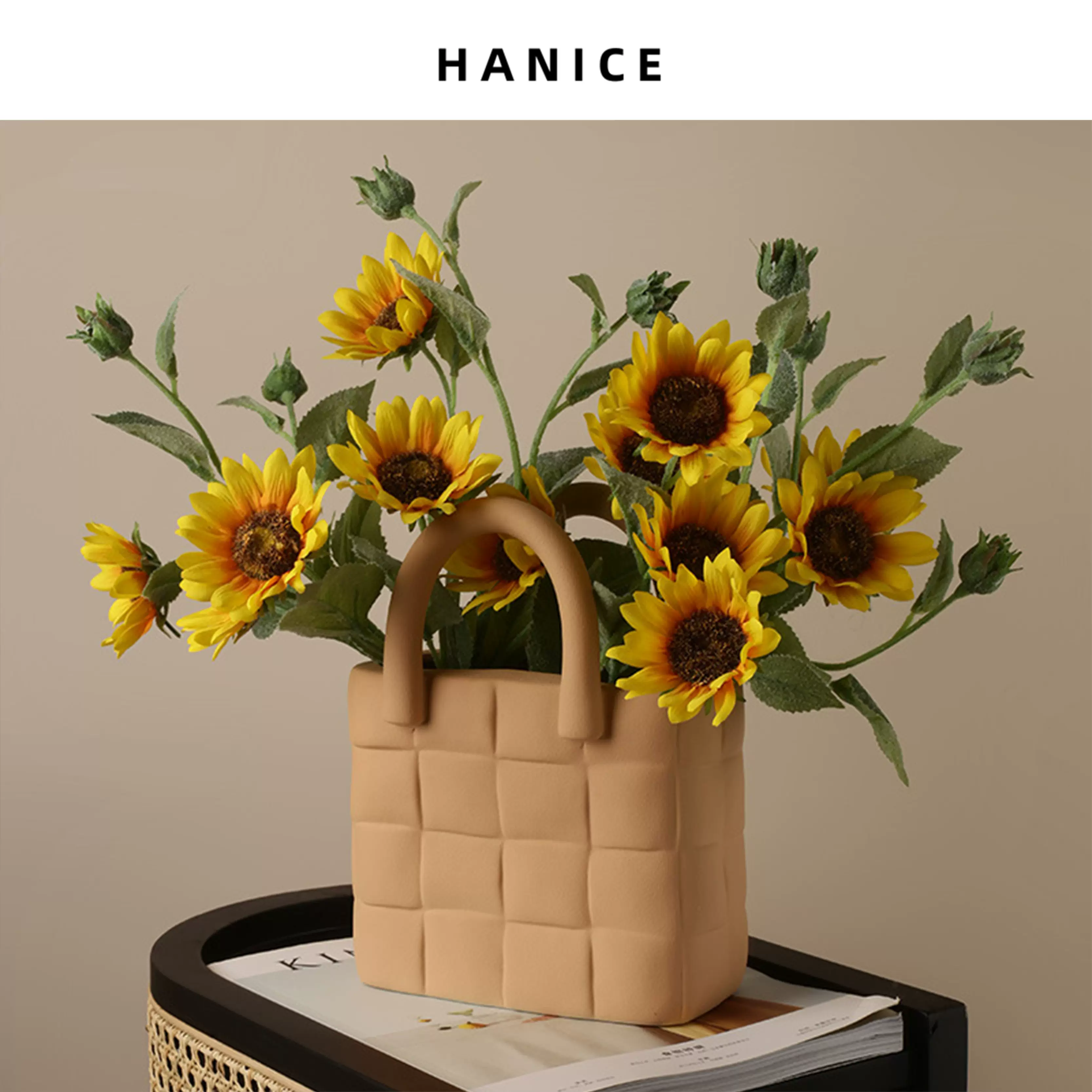 Hanice北欧ins创意简约个性陶瓷花瓶莫兰迪水培花器台面装饰