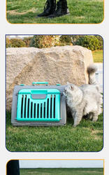 Pet Carrier Box for Cats, Portable for Dogs, Suitable for Travel, Large Size, Foldable, in Stock