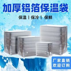 Thickened Aluminum Foil Insulation Bag for Takeout, Large-Capacity Ice Cream Cake Foam Box, Express Packaging and Transportation Refrigerated Bag