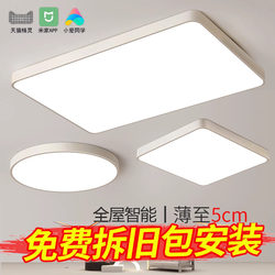 Led Ceiling Lamp Simple Modern Xiaoai Classmate Intelligent Voice Tmall Elf Living Room Lamp  Bedroom Lamp