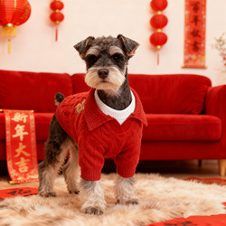 New Year's Red Sweater Dog Clothing Warm Autumn and Winter Cold-Proof Casual Printed Schnauzer Bichon Pet Clothes