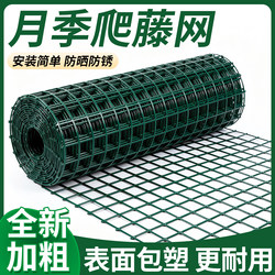 Rose Climbing Net, Plant Climbing Net, Agricultural Grid Net, New Style Special Wire Mesh for Home Garden