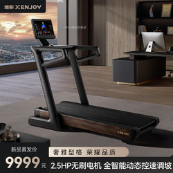 Jueying High-End Series·Xt5 Smart Treadmill for Home Use, Silent, Incline, Large Commercial Equipment, Gym-Specific