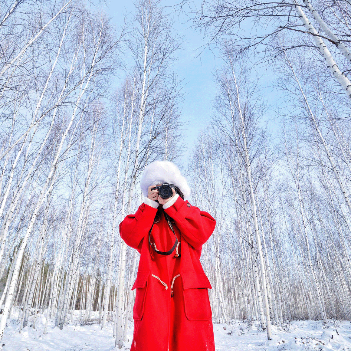 【双卧往返】哈尔滨漠河旅游5天4晚北极村北红村环线/私家团