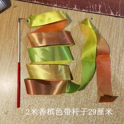 10 Pieces of Champagne-Colored Rhythmic Gymnastics Ribbons with Free Shipping Wholesale 4m Performance Props Children's Dance Ribbons