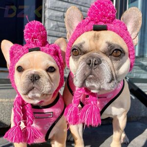 New Cat Autumn and Winter Warm and Windproof Dog Puff Ball Dog Hat Hot Selling Pet Cat Headgear Supplies.5