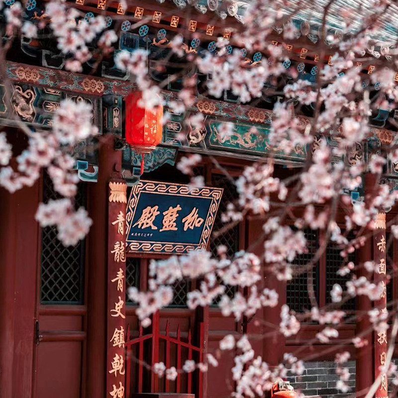 五台山一日游 升级头等舱小团 太原到山西五台山旅游含门票