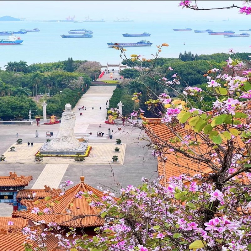广州南沙一日游【2-6人私家团】天后宫+游艇会+湿地公园+湿地公园