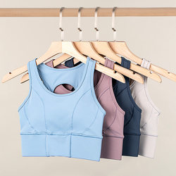 Sports Bra for Women, Plus Size, Running, Shockproof, Integrated, for Full-Figured Women, Side Breast Support, Push-Up, Hollow-Out, Fitness Wear, Yoga Bra