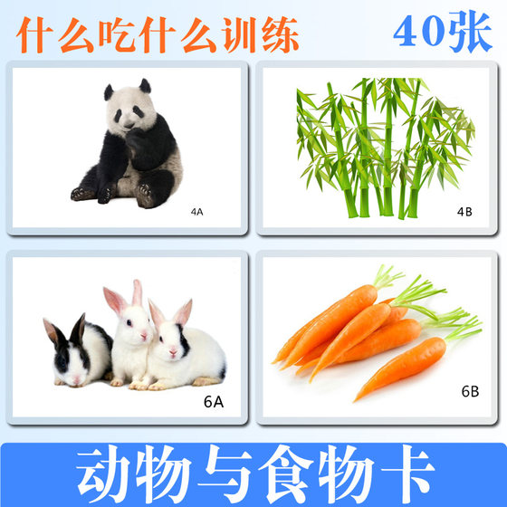 What kind of card animals and food do you live in the training card Tang baby autism children's teaching aids
