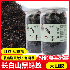 Northeast Changbai Mountain Black Ants Bubble Wine - Formic Acid Rich