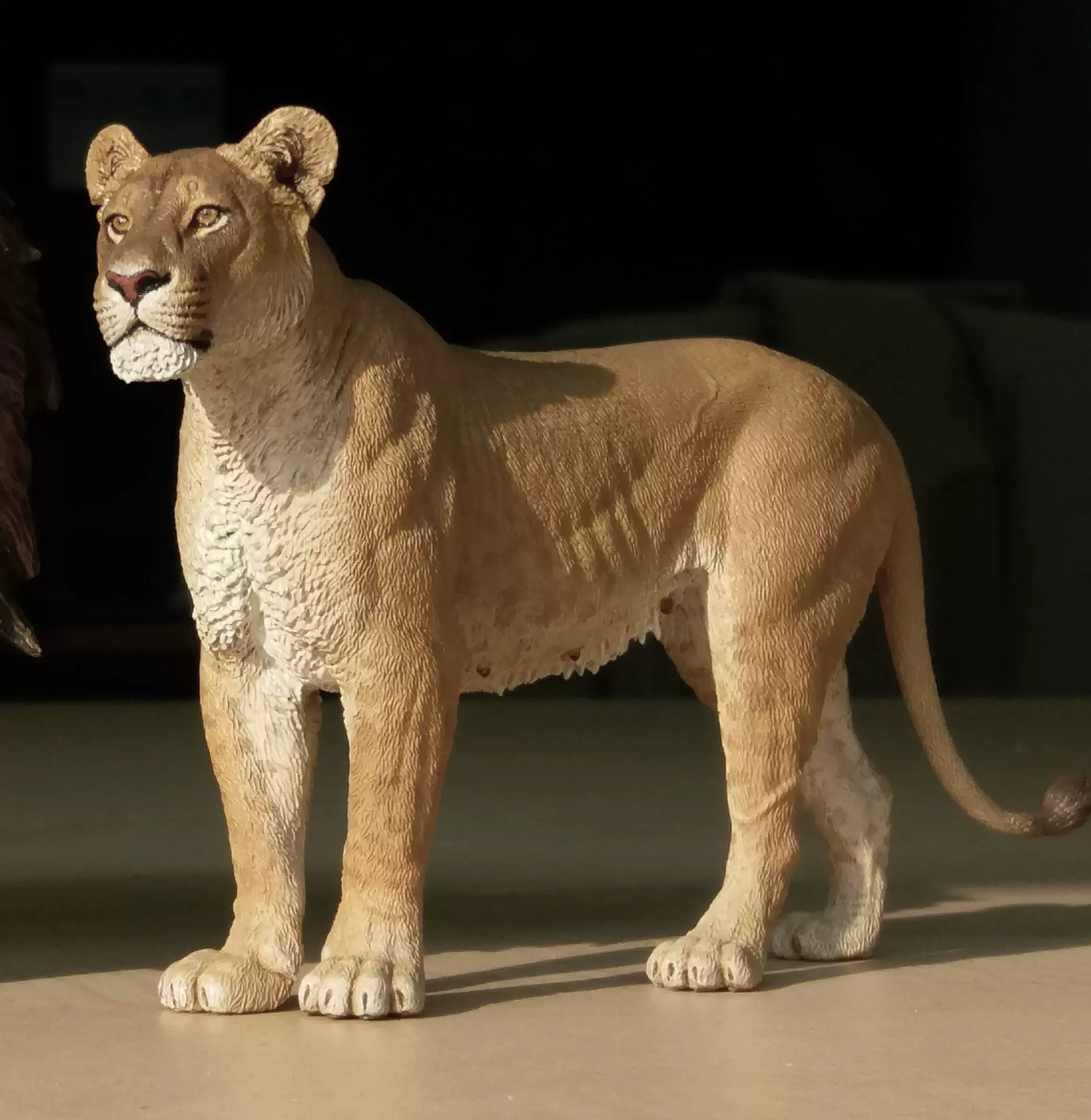 大飞GK工作室—狮子亚种系列之三南非狮王—克鲁格狮（雌）售完- Taobao