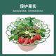 Home planting strawberry bracket ground insert bracket planting strawberry support frame gardening strawberry propagation cup