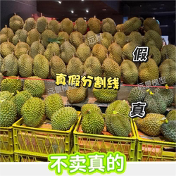 Fake Durian Model Plastic Simulation Golden Pillow Prop Fruit Shop Decoration Background Photo Props Video Props