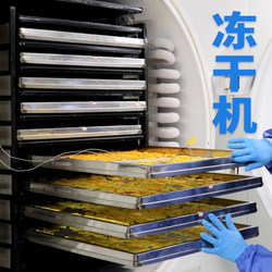 Production-Type Low-Temperature Vacuum Freeze Dryer, Agricultural and Commercial Food and Fruit Freeze Dryer, Pet Snack Dehydrator