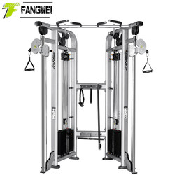 Little Flying Bird Comprehensive Training Device Professional Gantry Commercial Gym Studio Double Pulley Flying Bird Fitness Equipment