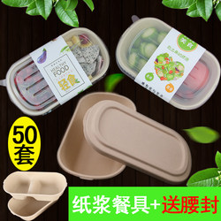 Environmentally Friendly and Biodegradable Disposable Paper Pulp Lunch Boxes for Light Meals, Salads, Pasta, Mochi, Fitness Food, and Takeaway Packaging